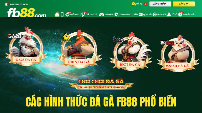 Các Hình Thức Đá Gà FB88 Phổ Biến