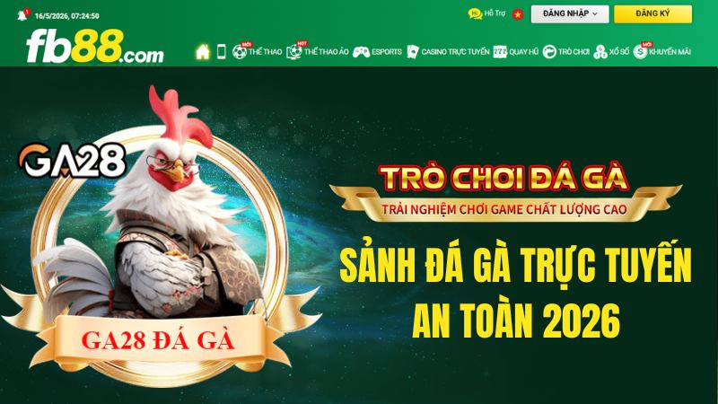 Đá Gà FB88 – Sảnh Đá Gà Trực Tuyến An Toàn 2026
